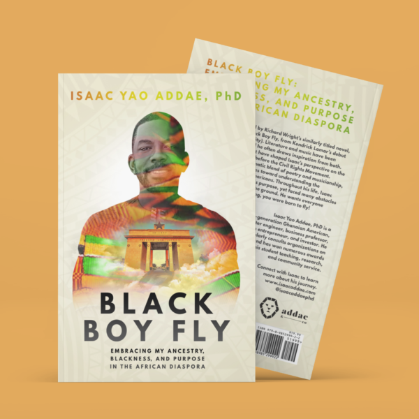 Black Boy Fly Book Image